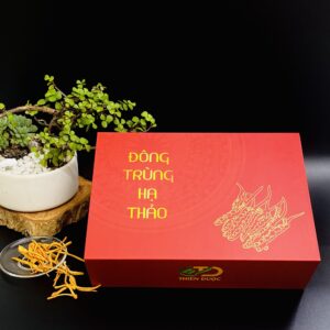dong-trung-ha-thao-qua-the-kho