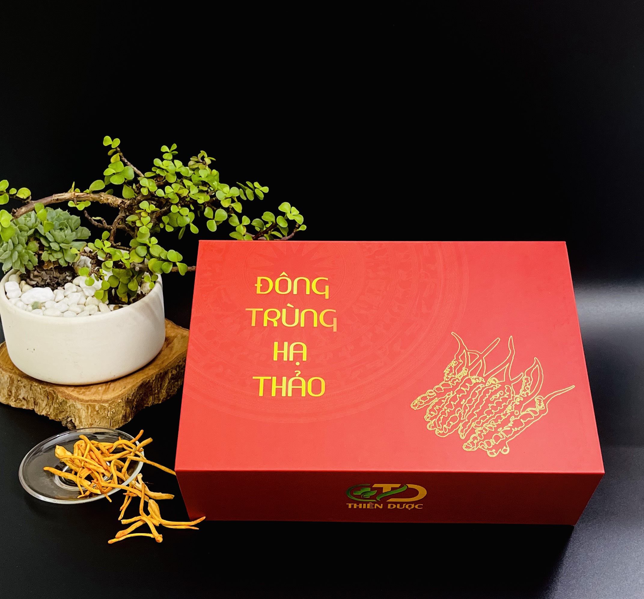 dong-trung-ha-thao-qua-the-kho