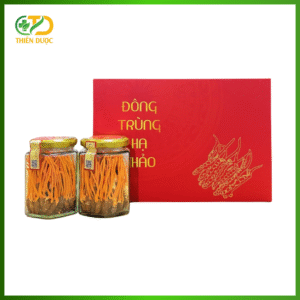 nguyen-con-dong-trung-ha-thao