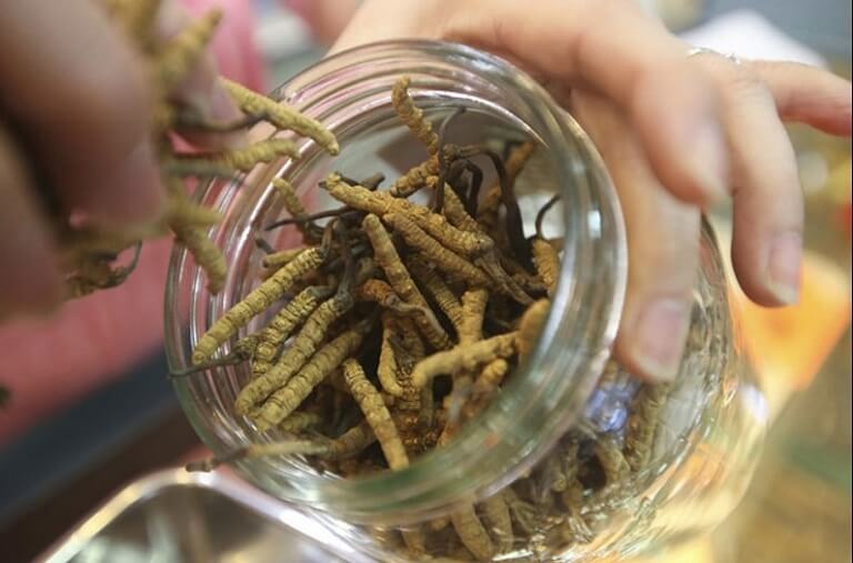 Cham-soc-benh-nhan-mac-benh-tim-mach-bang-dong-trung-ha-thao-