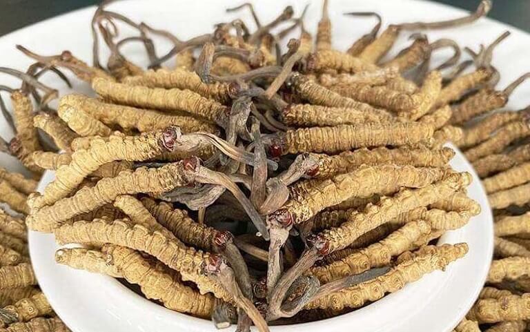 Chu-y-khi-su-dung-dong-trung-ha-thao-cho-phu-nu-cho-con-bu