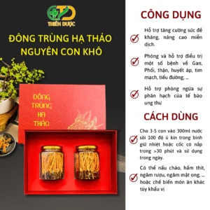 cong-dung-nguyen-con-dong-trung-ha-thao