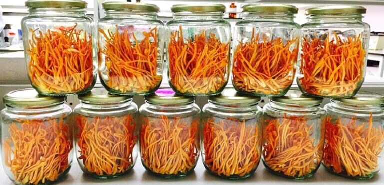 Dong-trung-ha-thao-tai-vien-Han-Lam-