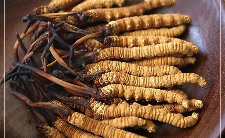 Luu-y-khi-su-dung-dong-trung-ha-thao-