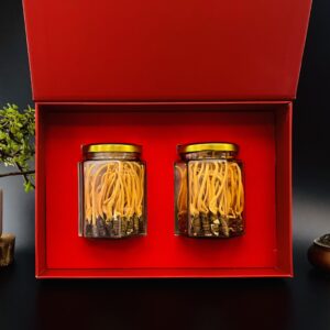 nguyen-con-dong-trung-ha-thao