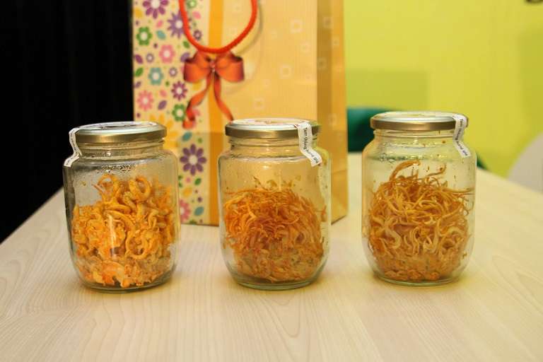 bao-quan-dong-trung-ha-thao