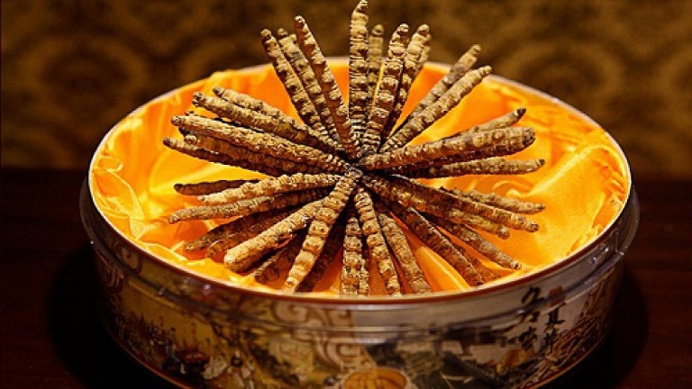 cach-su-dung-dong-trung-ha-thao-ngam-mat-ong