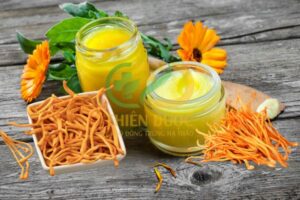 cao-dong-trung-ha-thao