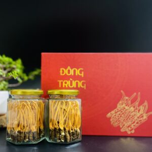 nguyen-con-dong-trung-ha-thao-2