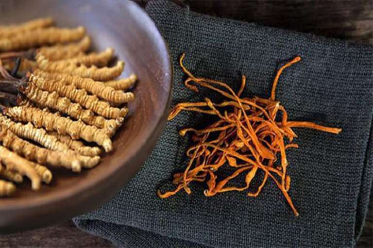 dong-trung-ha-thao-da-nang-da-dang