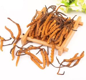 dong-trung-ha-thao-kho