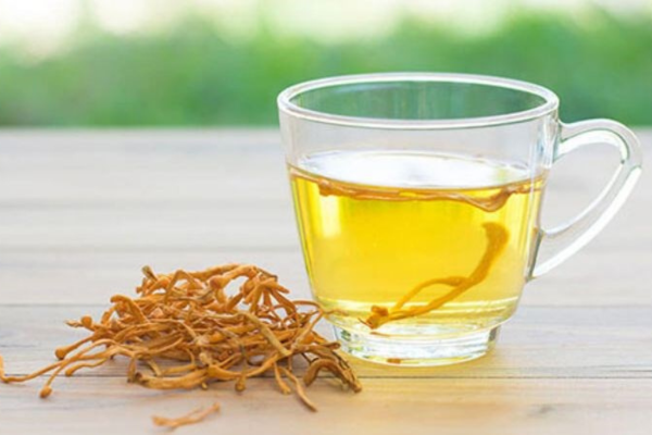 dong-trung-ha-thao-kho-pha-tra