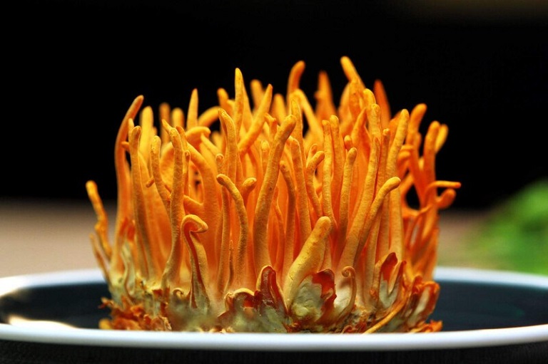 dong-trung-ha-thao-ngam-mat-ong