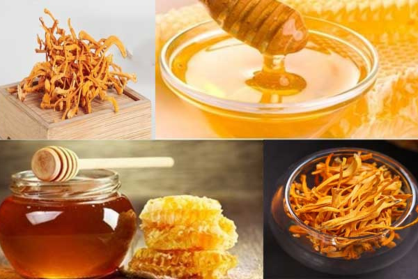 dong-trung-ha-thao-ngam-mat-ong