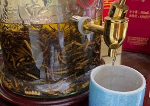 dong-trung-ha-thao-ngam-ruou