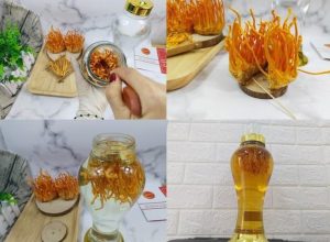 dong-trung-ha-thao-ngam-ruou