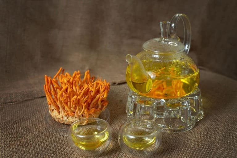 dong-trung-ha-thao-pha-tra