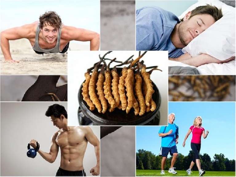 dong-trung-ha-thao-tot-cho-suc-khoe