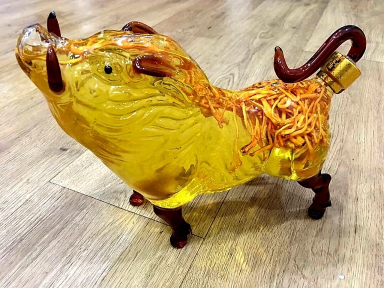 dong-trung-ha-thao-tuoi-ngam-ruou