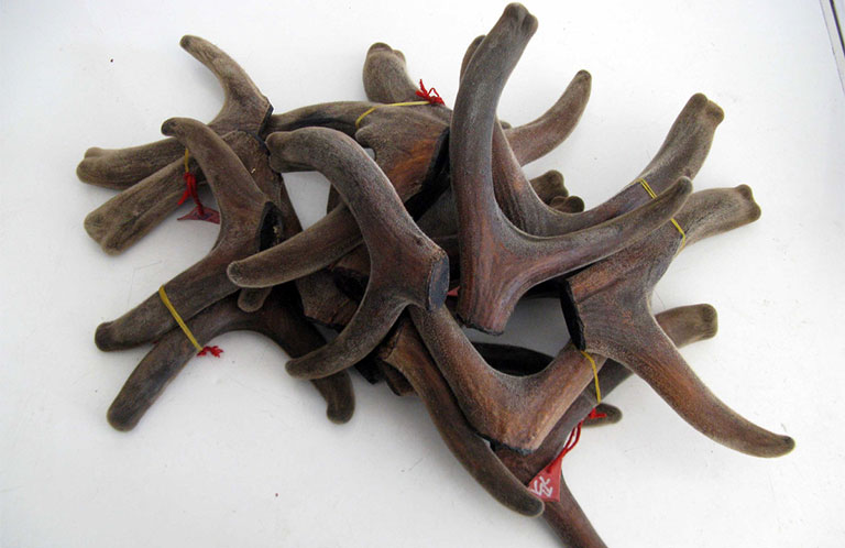 loc-nhung-ngam-ruou-trung-thao