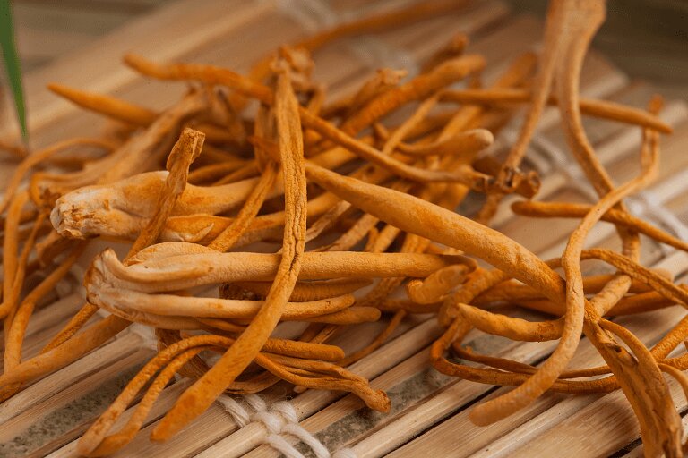 Cac-doi-tuong-nen-su-dung-dong-trung-ha-thao-kho