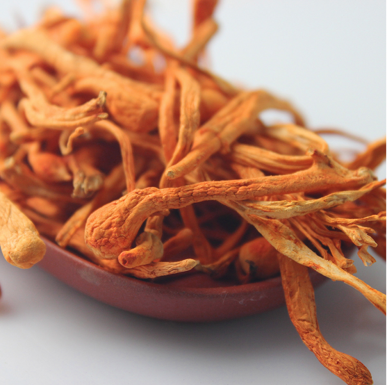 Cong-dung-cua-Dong-trung-ha-thao-kho-Han-Quoc-