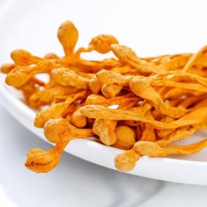 trung-thao-say-thang-hoa