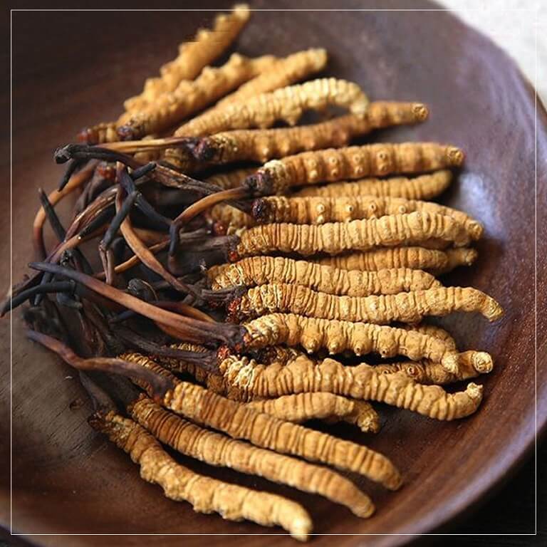 Khong-nen-su-dung-DTHT-cho-nhung-nguoi-di-ung-voi-thanh-phan-cua-san-pham