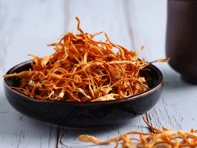 Luu-y-khi-su-dung-dong-trung-ha-thao-kho