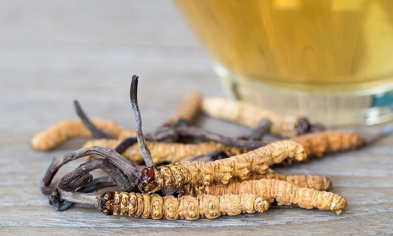 Nhung-tac-dung-phu-thuong-gap-khi-su-dung-Dong-trung-ha-thao-