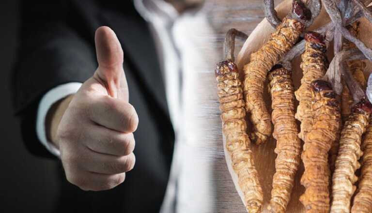 Su-dung-dong-trung-ha-thao-ngan-ngua-su-phat-trien-cua-te-bao-ung-thu