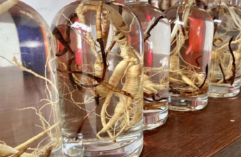 cach-ngam-ruou-dong-trung-ha-thao-voi-sam