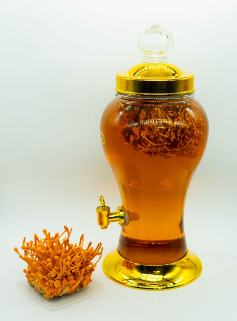 dong-trung-ha-thao-ngam-ruou