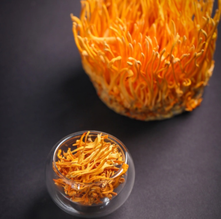 dong-trung-ha-thao-say (1)