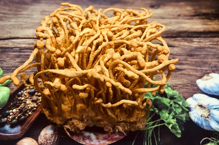 tac-dung-cua-ruou-dong-trung-ha-thao-ngam-mat-ong